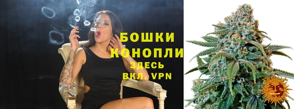 крисы Зеленокумск