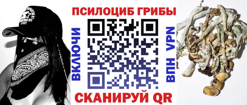 Купить где  Новосиль  Псилоцибиновые грибы MAGIC MUSHROOMS 