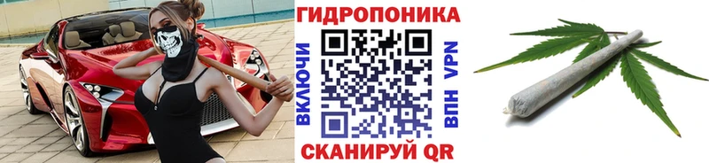 Конопля MAZAR  Купить  Новосиль 